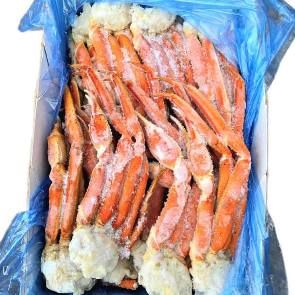 Kokt snøkrabbe fra Barentshavet, store 10-12 oz seksjoner.